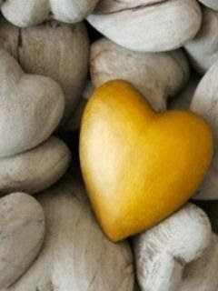 Sábado, 28 de diciembre de 2013. Ábrete al amor