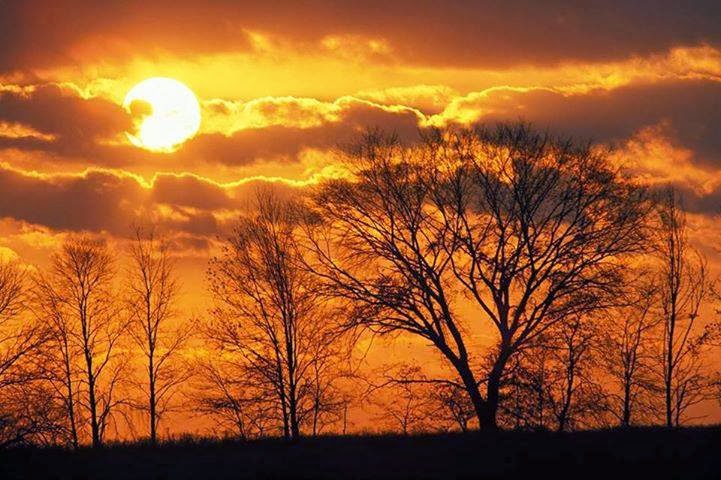 Viernes 24 enero 2014 Donde estamos destinados a estar