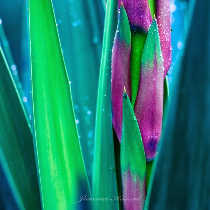 Jueves Enero 16 2014 Nunca reununcies