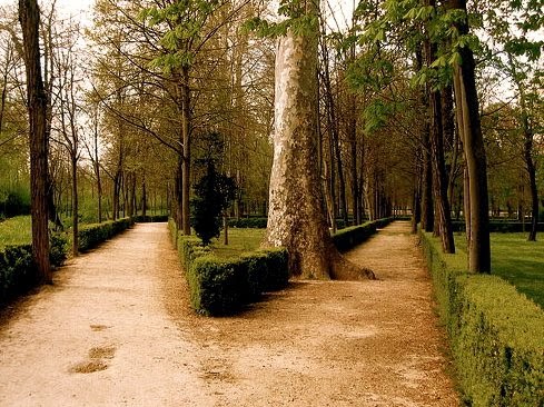 Sábado Febrero 16, 2014 Tu futuro