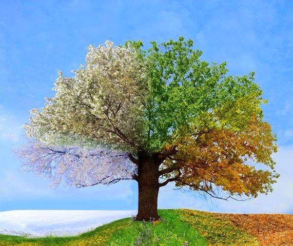 Sábado 22 Marzo 2014. Cambiar nuestra vida.