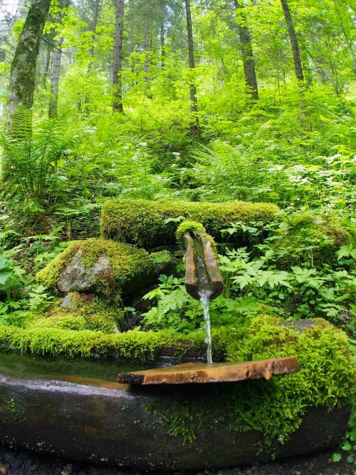 Viernes 28 de marzo 2014. Cambiar al mundo.