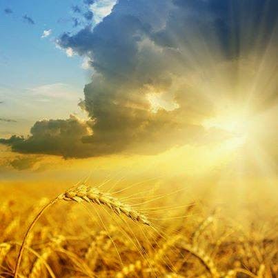 Miércoles 16 de abril 2014. Un nuevo día