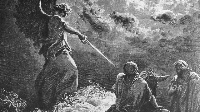 Sábado 5 de Julio de 2014 El asno y el ángel