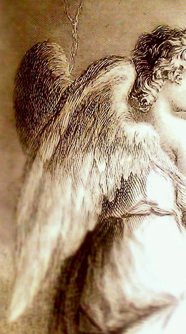 Martes 29 de julio de 2014. Tu ángel de la guarda