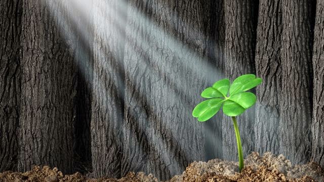 Martes 26 de agosto de 2014. Virgo: Un mes de Oportunidad