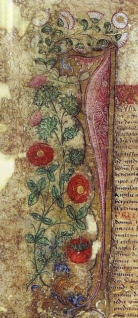 Martes 30 de septiebre de 2014 Experimentando a Di.os