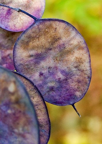 Lunes, 08 de septiembre de 2014. Dar es sembrar.