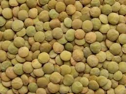 Sábado 22 de noviembre de 2014 Dos grandes lecciones