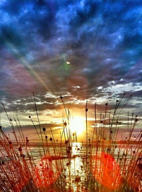 Martes 9 de diciembre de 2014 Siempre alertas