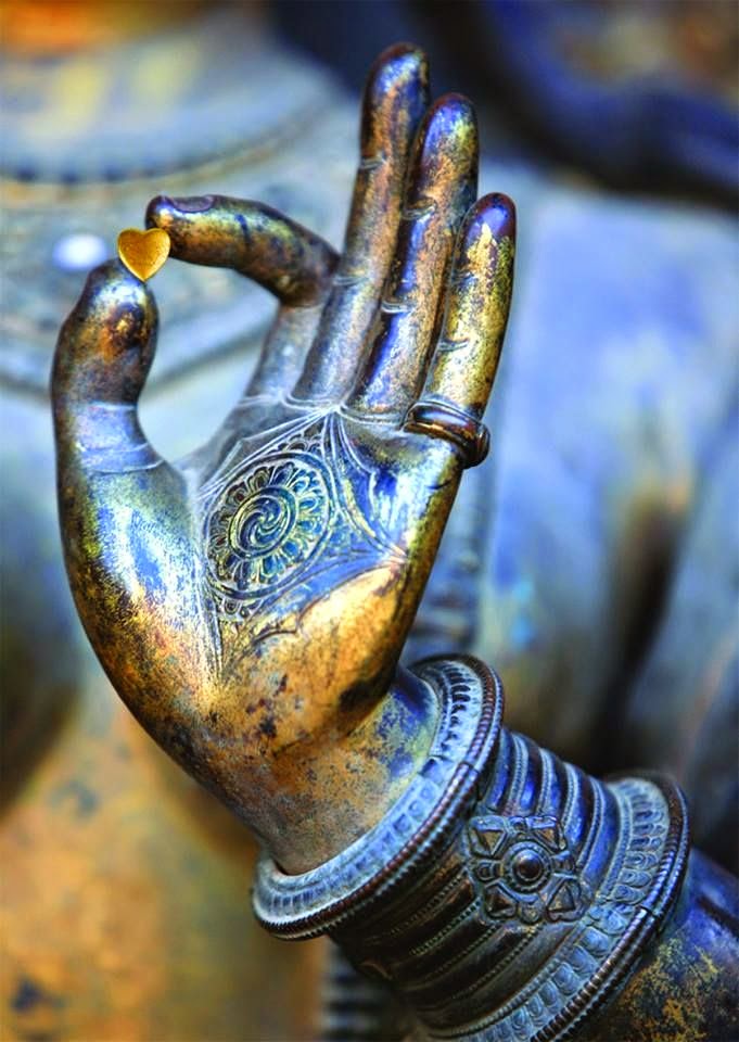 Jueves 8 de enero de 2015  Nutrir un mundo en dolor