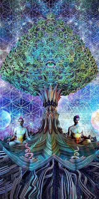 Sábado, 13 de junio de 2015. Ver el bien