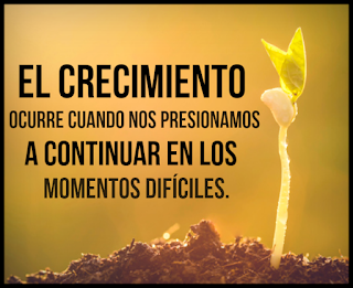 Martes 3 de noviembre de 2015. El crecimiento