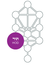 Martes 24 de mayo de 2016. No corras del caos.