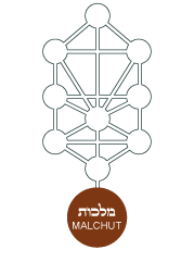 Lunes 6 de junio de 2016. Dos rosas.