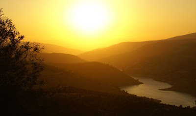 Jueves 28 de Julio de 2016. La incomodísima zona de confort.