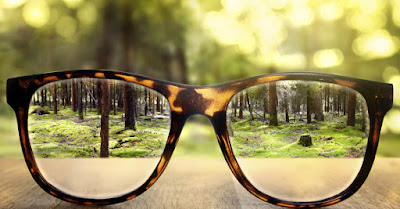 Martes 12 de julio de 2016. Miopía interior.