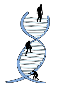 Evolución espiritual.