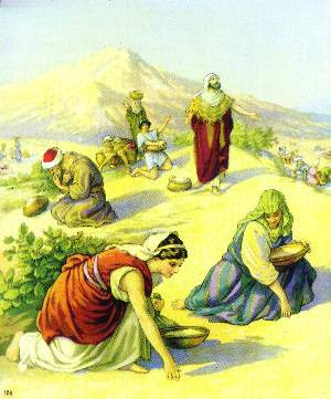 El maná del cielo.