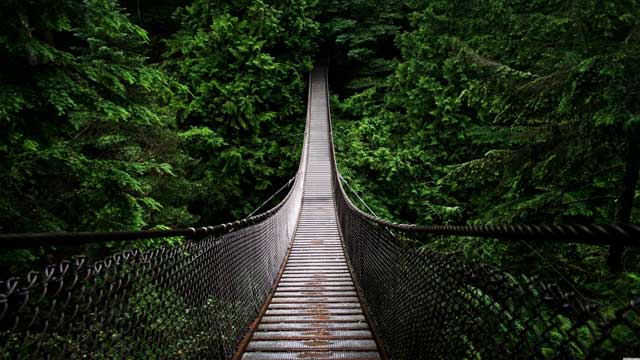 Un puente angosto