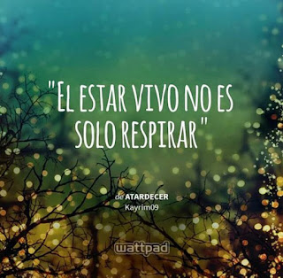 Vivir es un nivel de consciencia