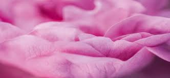 Hoy es día diecinueve del Omer