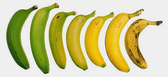 Tener derecho de consciencia