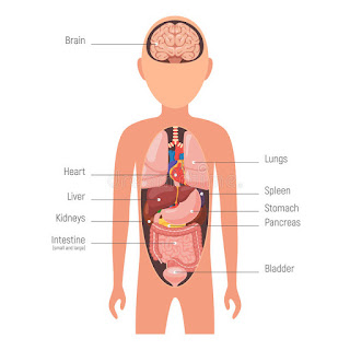 Tu eres responsable.