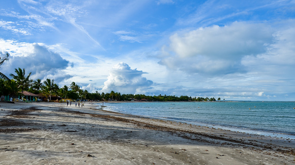 Los viajes de la vida