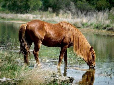 Somos responsables de nuestro potencial.