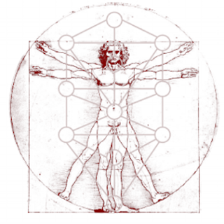 El proceso de volverse humano