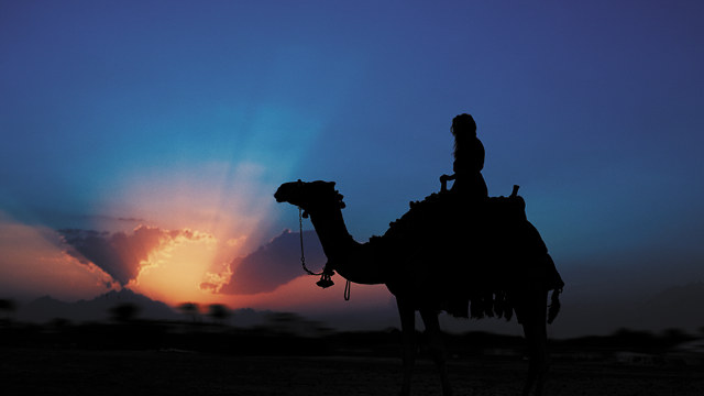 En tiempos de oscuridad, nuestra alma se emociona