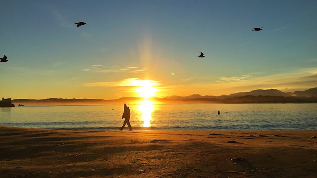 General y Particular