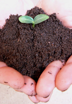 Quinta semana: Hod de Hod