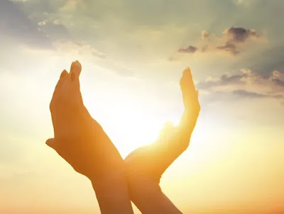 ¿Qué luz necesitamos?