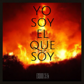 Hacer las paces con nuestro Presente