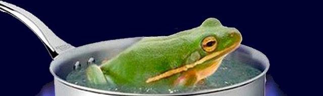 La rana en la olla
