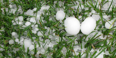 Primero la Consciencia