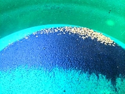 Separar la realidad de la ilusión