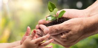 «El que da, el que recibe» desde el punto de vista del Creador