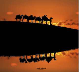 Distinguir entre el deseo y la obsesión