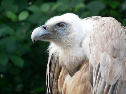 Querer ver con asombro