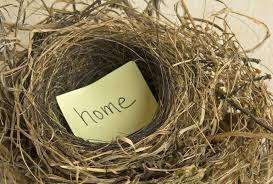 Dejar el nido