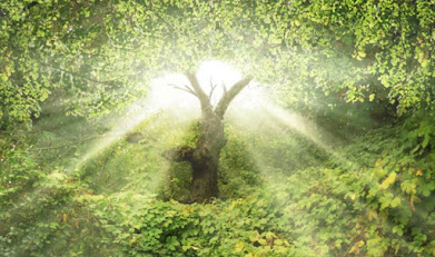 Conectarse con la realidad perfecta