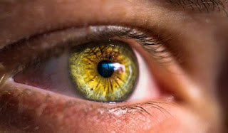 Lecciones de lo involuntario