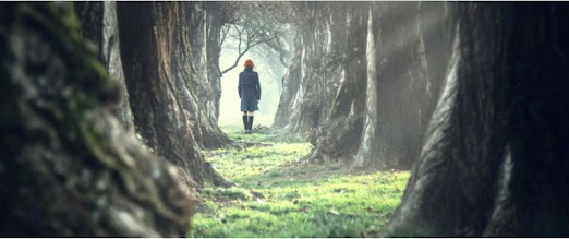 Cuando vemos la Luz como oscuridad