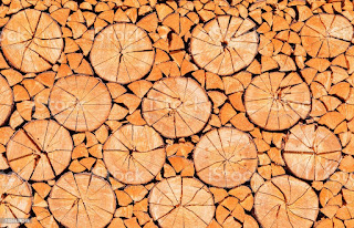 Tiempo y Orden correctos