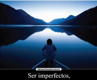 No ser perfecto
