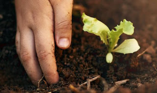 Agotar el depósito de juicio