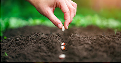 Preparándonos para la siembra